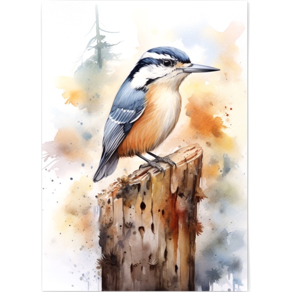 Red-breasted Nuthatch Bird Wall Art Watercolor Illustration Print Unframed - Picture 3 of 5